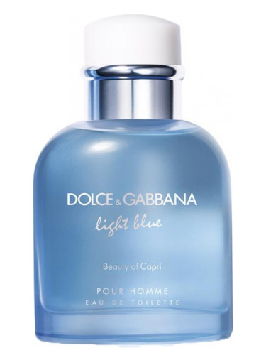 Light Blue Pour Homme / D&G